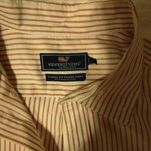 Shiy - Picture 3 of 5